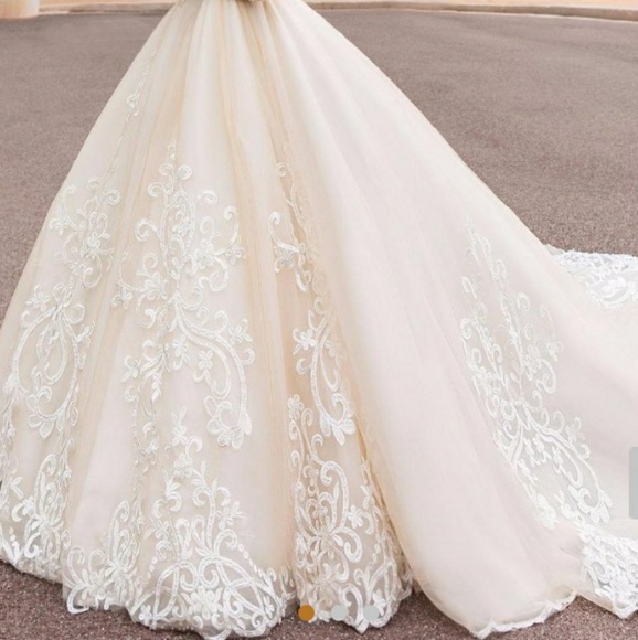 Gorgeous lace applique organza wedding gown - Picture 2 of 6